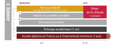 Ingénieur Généraliste troisième année Centrale Lyon