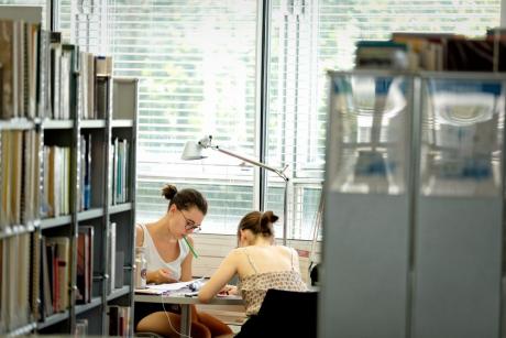 Elèves au travail à la bibliothèque