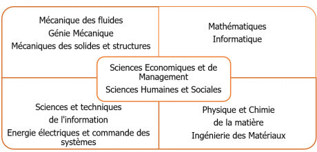 Schéma disciplines du tronc commun