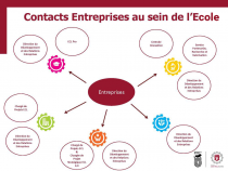 Schéma des contacts entreprise DDRE