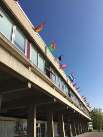 Drapeaux bâtiment W1