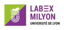 Community of mathematics and fundamental computer science in Lyon (MILYON)