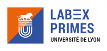 Physique, radiobiologie, imagerie médicale et simulation (PRIMES) 